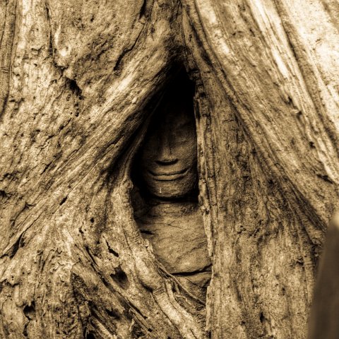 Cambodia : Cambodia Cambodja 2008 hdr, Creative, faces, vierkant