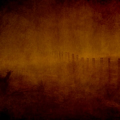 IMG 6644-Edit2 2  Solleveld April 2004