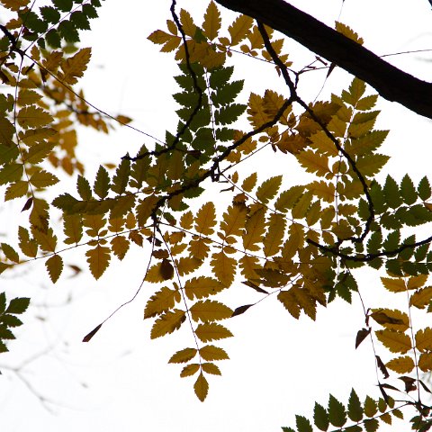 IMG 9973 : +2, 2010, China, Creative, overbelicht, www.reisfotos.nl (c) J.M. van der Horst