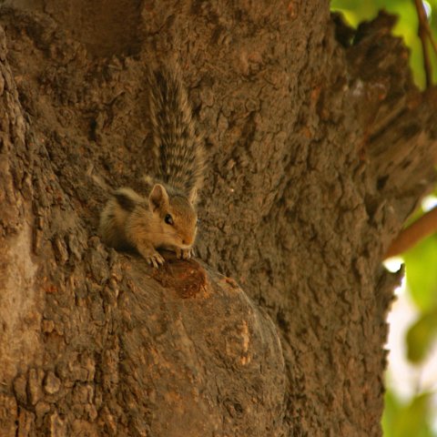 img08622  Journey through Ladakh India 2004