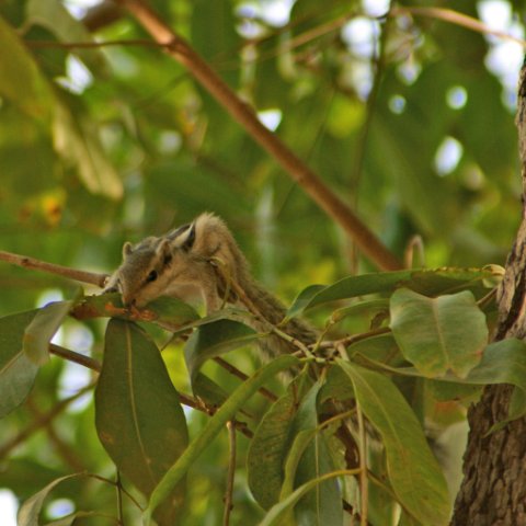 img08624  Journey through Ladakh India 2004