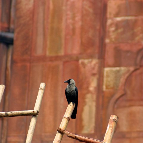 img12508  Journey through Ladakh India 2004