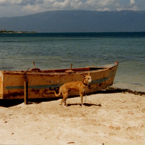 Dominicaanse Republiek