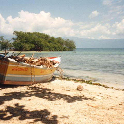 050 : Dominicaanse Republiek 1999