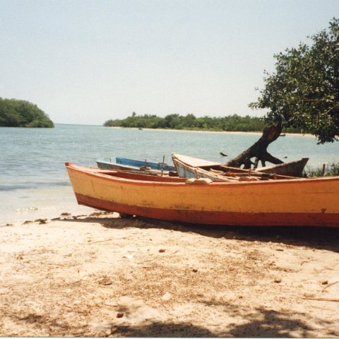 075 : Dominicaanse Republiek 1999