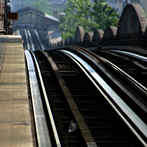 img 1499  Parijs : Parijs