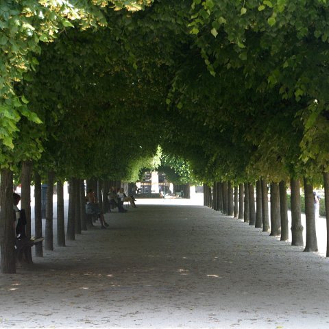 img 1537  Parijs : Parijs