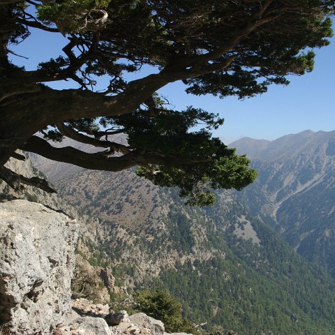 img 4635 : Griekenland