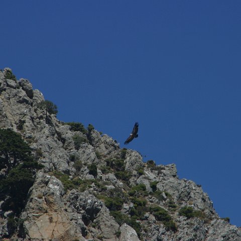 img 4658 : Griekenland