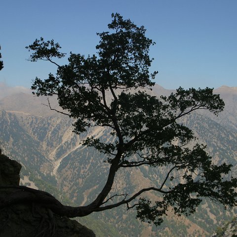 img 4805 : Griekenland