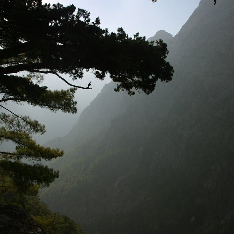 img 4862 : Griekenland