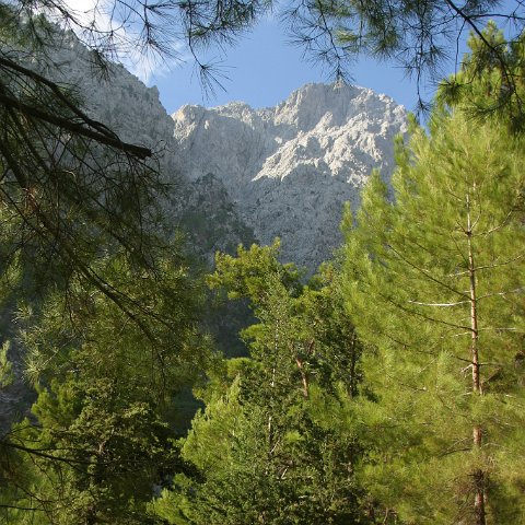 img 4875 : Griekenland