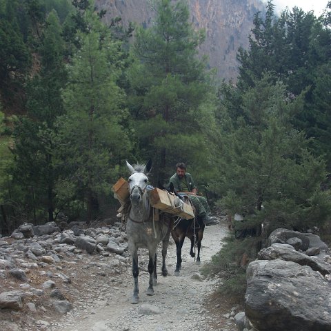 img 4976 : Griekenland