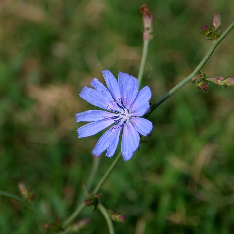 img 3696 edited : Italië