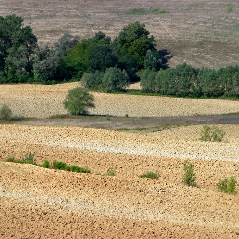 img 3708 edited : Italië