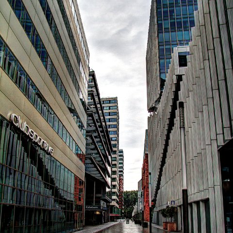 IMG 3616 7 8Surreal2