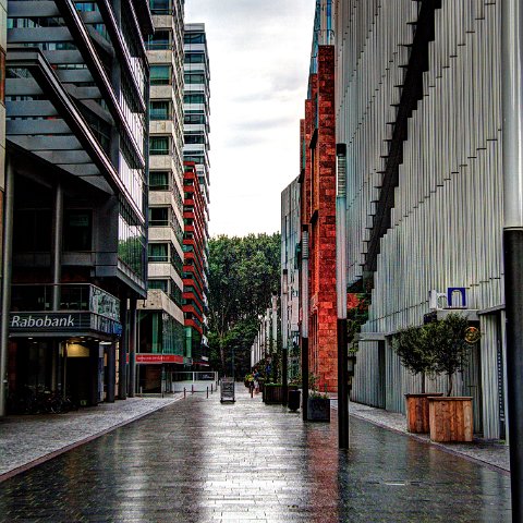 IMG 3619 20 21Surreal2