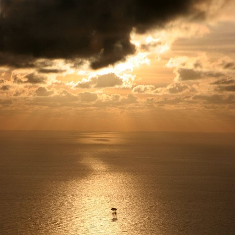 img 5887  Kustwacht vlucht