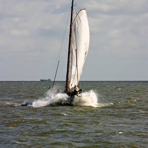 img 8053  Dagje uit CXCK Harlingen - Terschelling 2004