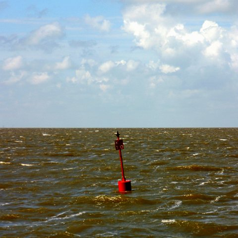 img 8226  Dagje uit CXCK Harlingen - Terschelling 2004