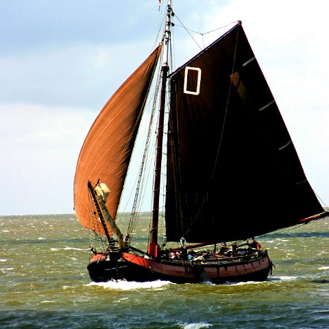 img 8263  Dagje uit CXCK Harlingen - Terschelling 2004