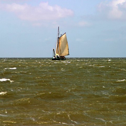 img 8289  Dagje uit CXCK Harlingen - Terschelling 2004