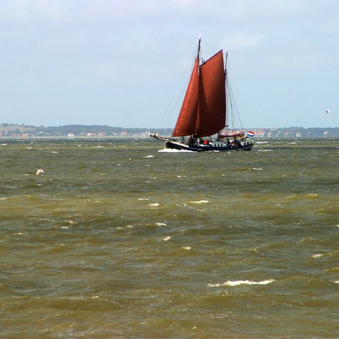 img 8314  Dagje uit CXCK Harlingen - Terschelling 2004