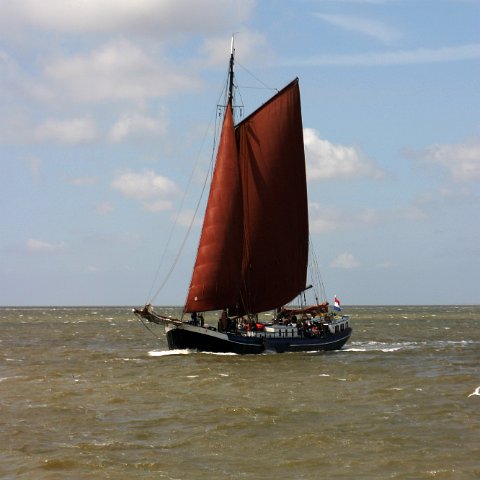 img 8320  Dagje uit CXCK Harlingen - Terschelling 2004