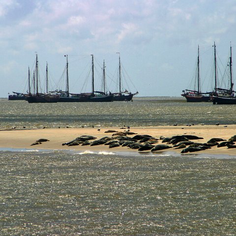 img 8402  Dagje uit CXCK Harlingen - Terschelling 2004