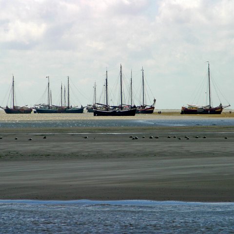 img 8408  Dagje uit CXCK Harlingen - Terschelling 2004