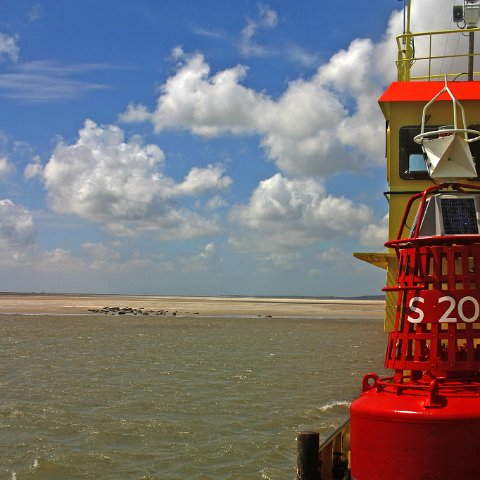 img 8434  Dagje uit CXCK Harlingen - Terschelling 2004