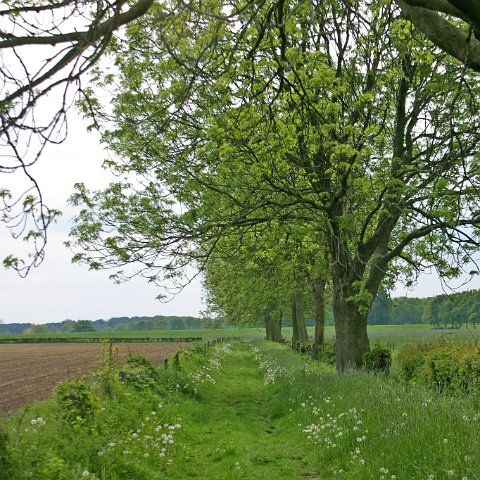 img 6924 edited  NS route IJsselroute dag 1
