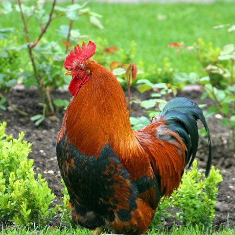 img 6964 edited  NS route IJsselroute dag 1