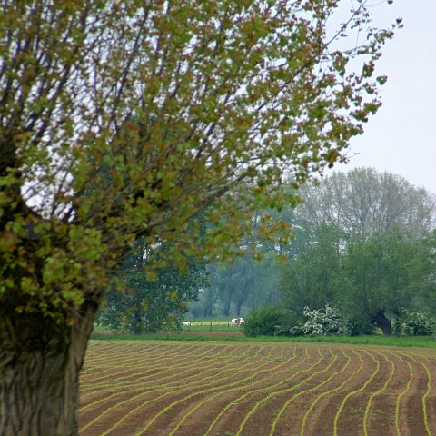 img 6967 edited  NS route IJsselroute dag 1