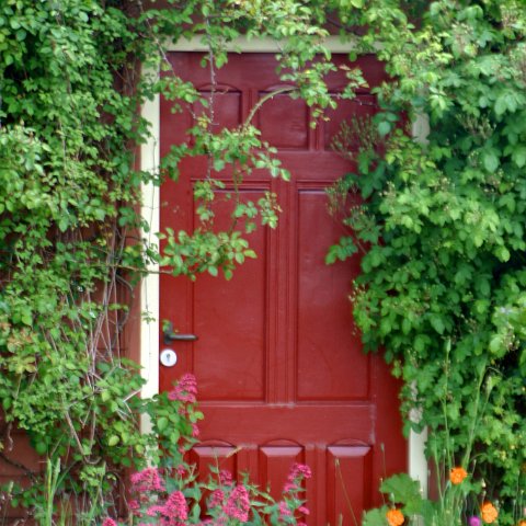 img 7026 edited : Door