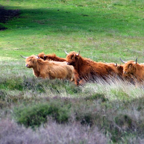 img 7280   Kampeerweekend Danja 22 en 23 mei 2004