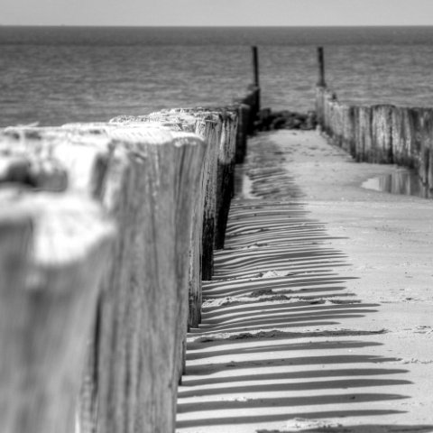 IMG 8495 6 7 : Black&White