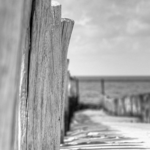 IMG 8525 6 7 : Black&White