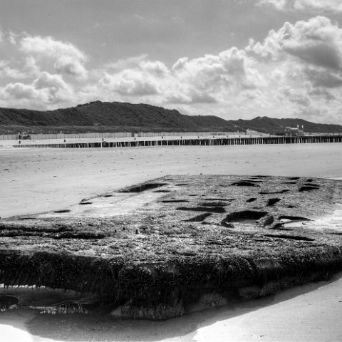 IMG 8624 5 6 : Black&White