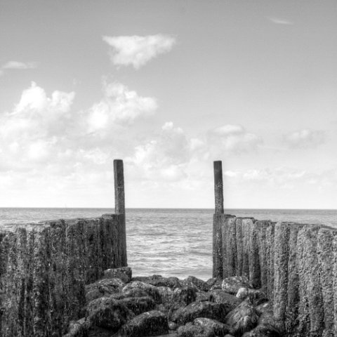 IMG 8651 2 3 : Black&White