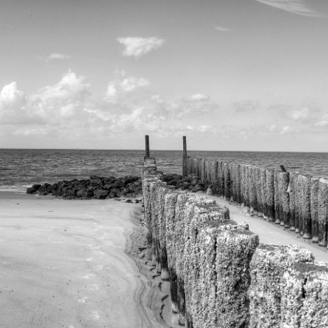 IMG 8660 1 2 : Black&White