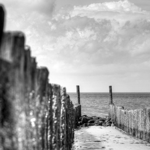 IMG 8744 5 6 : Black&White