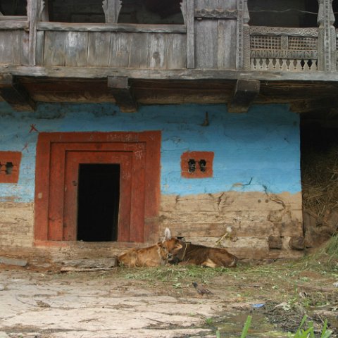 IMG08844  Reis Ladakh, India 2004 met Stichting Danja, www.danja.nl : Door, India Ladakh 2004 Danja Manali Himalaya, doors, houses, www.reisfotos.nl (c) J.M. van der Horst