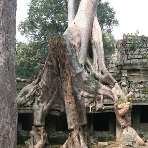 IMG 1777  Cambodja 2006 Siem Reap. : Angkor, Cambodia 2006 Ankor wat Angkor Thom Temple complex, doors, www.reisfotos.nl (c) J.M. van der Horst