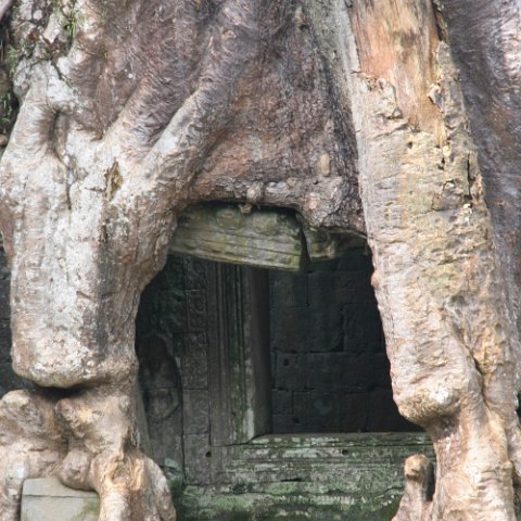 IMG 1778  Cambodja 2006 Siem Reap. : Angkor, Cambodia 2006 Ankor wat Angkor Thom Temple complex, doors, www.reisfotos.nl (c) J.M. van der Horst