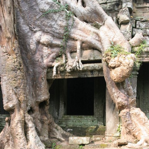 IMG 1779  Cambodja 2006 Siem Reap. : Angkor, Cambodia 2006 Ankor wat Angkor Thom Temple complex, doors, www.reisfotos.nl (c) J.M. van der Horst