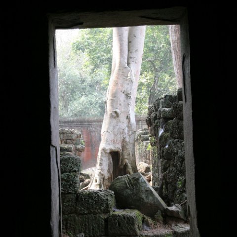 IMG 1952  Cambodja 2006 Siem Reap. : Angkor, Cambodia 2006 Ta Prohm tempel doors, doors, www.reisfotos.nl (c) J.M. van der Horst