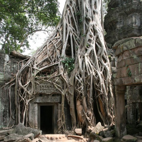 IMG 1971  Cambodja 2006 Siem Reap. : Angkor, Cambodia 2006 Ta Prohm tempel, doors, www.reisfotos.nl (c) J.M. van der Horst