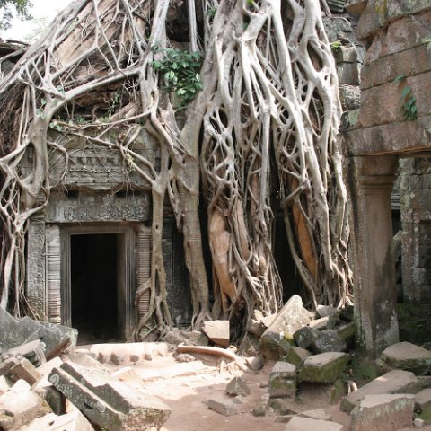 IMG 1975  Cambodja 2006 Siem Reap. : Angkor, Cambodia 2006 Ta Prohm tempel, doors, www.reisfotos.nl (c) J.M. van der Horst