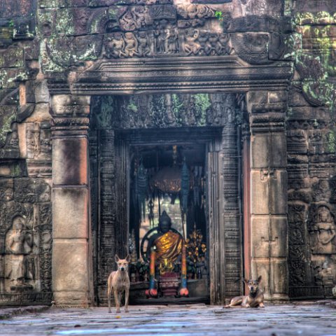 MG 0856 7 8Enhancer : Door, cambodia cambodja, creative options, doors, www.reisfotos.nl (c) J.M. van der Horst